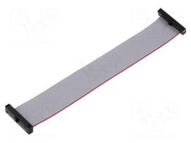 Ribbon cable with IDC connectors | IDC socket,both sides | 30AWG