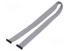 Ribbon cable with IDC connectors | IDC socket,both sides | 508mm