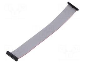 Ribbon cable with IDC connectors | IDC socket,both sides | 30AWG