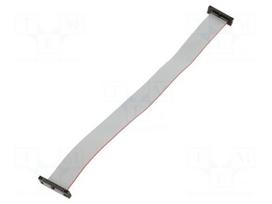 Ribbon cable with IDC connectors | IDC socket,both sides | 254mm