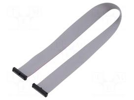 Ribbon cable with IDC connectors | IDC socket,both sides | 381mm