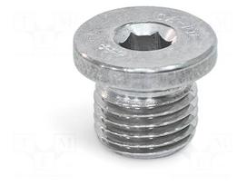 Hexagon head screw plug | without seal | Thread: M10 | DIN 908