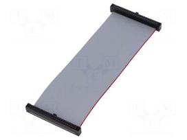 Ribbon cable with IDC connectors | IDC socket,both sides | 30AWG