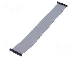 Ribbon cable with IDC connectors | IDC socket,both sides | 30AWG