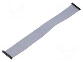 Ribbon cable with IDC connectors | IDC socket,both sides | 30AWG