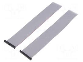 Ribbon cable with IDC connectors | IDC socket,both sides | 30AWG