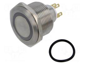 Switch: vandal resistant | Pos: 2 | SPDT | 3A/220VAC | 5A/24VDC | IP65