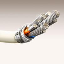 Kabelis Joyroom  Joyroom S-A53 3A USB-A - USB-C Cable with Fluorescent Tip 1.2m - Beige
