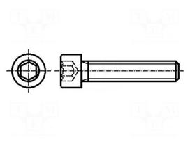 Screw | M10x40 | 1.5 | Head: cheese head | hex key | HEX 8mm | steel | zinc