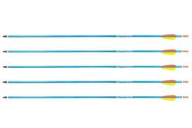 Poe Lang Target 30" D-016-BAluminium arrows 5 pcs Blue