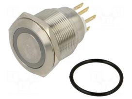Switch: vandal resistant | Pos: 2 | SPDT | 3A/220VAC | 5A/24VDC | IP65