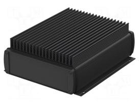Enclosure: with panel | with fixing lugs,with heatsink | X: 169mm