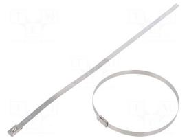 Cable tie | L: 521mm | W: 7.9mm | stainless steel AISI 304 | 2kN | MBT