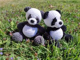 Nerta panda