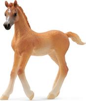 Schleich HORSE CLUB Arabų veislės kumeliukas