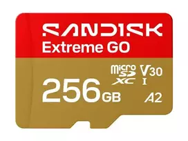 SANDISK Extreme GO microSDXC 256GB UHS-I