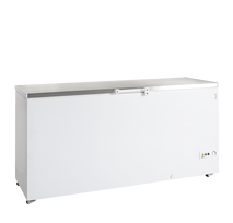 Ledų šaldiklis, vientisas dangtis FR605S SL