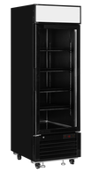 Vitrininė šaldymo spinta LGF2500B