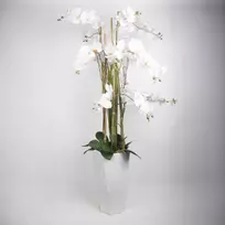 Home4You Dirbtinė orchidėja 132 cm balta