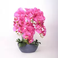 Home4You Dirbtinė orchidėja, kompozicija, 64 cm, tamsiai rožinė