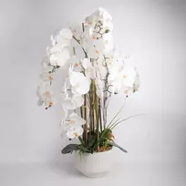 Home4You Dirbtinė orchidėjų kompozicija 102 cm balta