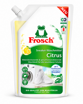 Frosch Sneaker-Waschmittel Citrus sportinės avalynės skalbiklis 480 ml