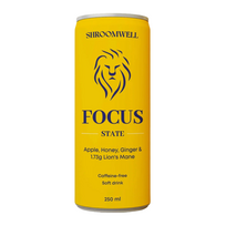 Gazuotas gaivusis gėrimas „Focus state Lion’s Mane“
