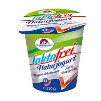 Natūralus jogurtas be laktozės LAKTOFREI NATURJOGURT