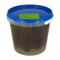 Rauginti agurkai