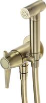 Deante Concealed bidet faucet w/ Bidetta handset