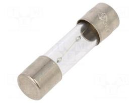 Fuse: fuse | glass | 1A | 250VAC | time-lag | 5x20mm | TSC | brass | bulk