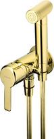 Concealed bidet mixer with bidetta shower head