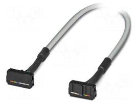 Ribbon cable with IDC connectors | IDC/FLK 16pin,both sides