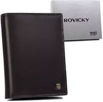 Vyriška odinė piniginė Rovicky RV167