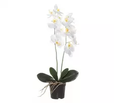 Dirbtinis augalas Orchidėja su vazonu 11x11x50 cm balta 4Living 612530