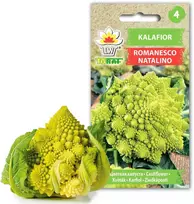 Toraf žiedinių kopūstų sėklos Romanesco Natalino 1g