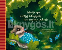 Istorija apie mažąją Miegapelę, kuri negalėjo pabusti - Sabine Bohlmann