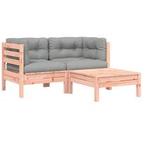 vidaXL Dvivietė sodo sofa su pagalvėlėmis ir pakoja