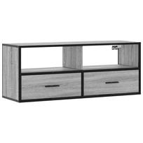 vidaXL Televizoriaus spintelė, pilka, 100x31x39,5cm, mediena/metalas