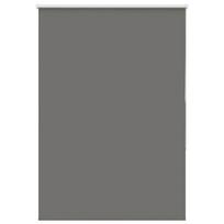 vidaXL roletas smėlio Pilka 100x130 cm audinio plotis 95,7 cm