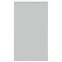 vidaXL roletas šviesiai pilka 120x230 cm audinio plotis 116,6cm
