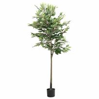vidaXL Dirbtinis fikusas, žalios spalvos, 170cm, 756 lapai