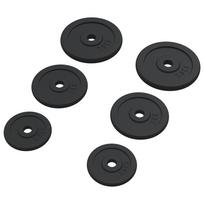 vidaXL Svoriai, 6vnt., 30kg, ketus