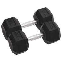 vidaXL Svarmenys, 2vnt., 25kg, viso liejinis geležis