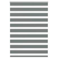 vidaXL zebrinės žaliuzės 95x100 cm audinio plotis 90,9 cm poliesteris