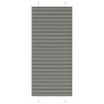 vidaXL klostuota žaliuze antracitas 100x200 cm audinio plotis 99,4 cm