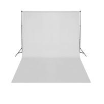 vidaXL Teleskopinė fono rėmo sistema + baltas fonas, 3 x 5 m