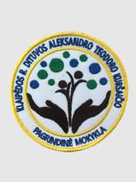 Dituvos Aleksandro Teodoro Kuršaičio pagrindinės mokyklos emblema, EMBLEMA: Emblema