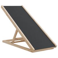 vidaXL Rampa šunims, pilkos spalvos, 100x40cm, eglės medienos masyvas