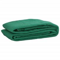 vidaXL Tinklas priekabai, žalias, 2x3,5m, HDPE